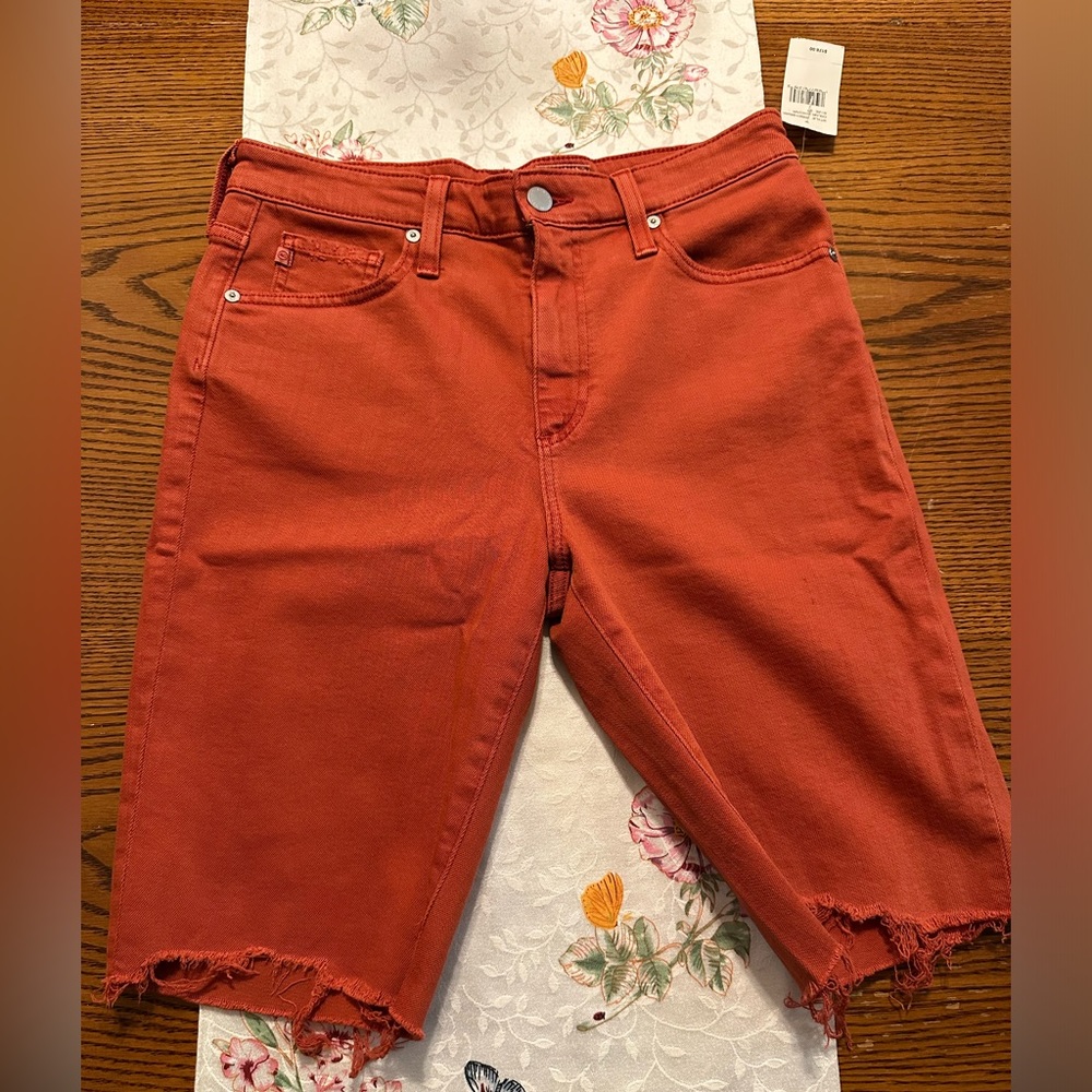 Ag Adriano Goldschmidt shorts